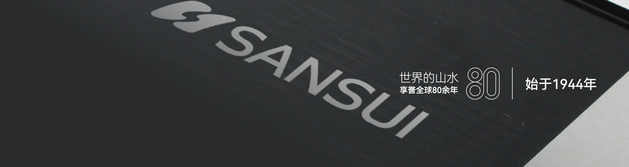 山水 SANSUI Reference Mark SM-A1車載用 車用 （山水SANSUI）